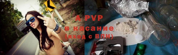 СК Белокуриха