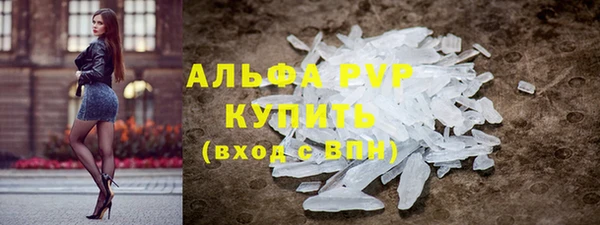 СК Белокуриха