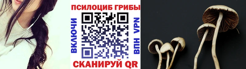 Галлюциногенные грибы Magic Shrooms  Маркс 